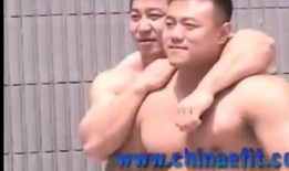 壮熊视频,揭秘野生动物的雄壮与力量