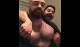 壮熊视频,揭秘野生动物的雄壮与力量